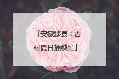 安徽黟县：古村夏日插秧忙