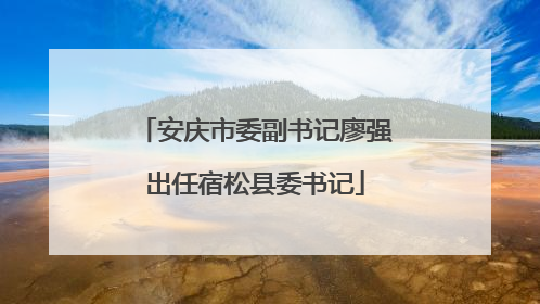 安庆市委副书记廖强出任宿松县委书记