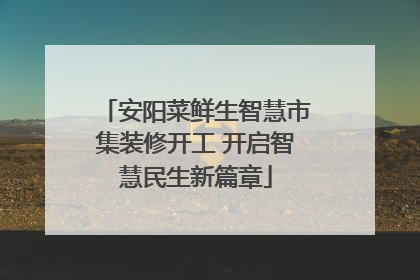 安阳菜鲜生智慧市集装修开工 开启智慧民生新篇章