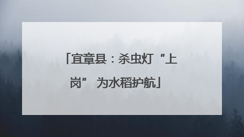 宜章县：杀虫灯“上岗” 为水稻护航