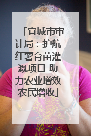 宜城市审计局：护航红薯育苗灌溉项目 助力农业增效农民增收