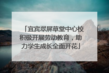 宜宾翠屏草堂中心校积极开展劳动教育，助力学生成长全面开花