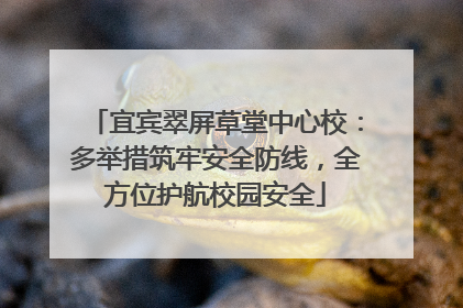 宜宾翠屏草堂中心校：多举措筑牢安全防线，全方位护航校园安全