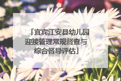 宜宾江安县幼儿园迎接管理常规督查与综合督导评估