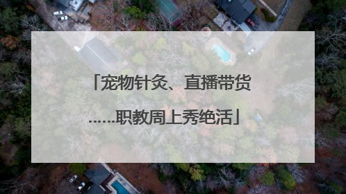 宠物针灸、直播带货……职教周上秀绝活