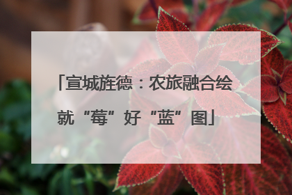 宣城旌德：农旅融合绘就“莓”好“蓝”图