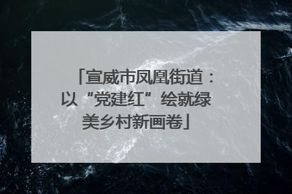 宣威市凤凰街道：以“党建红”绘就绿美乡村新画卷