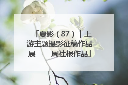 夏影（87）｜上游主题摄影征稿作品展——周社根作品