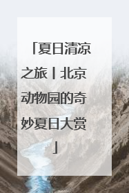 夏日清凉之旅丨北京动物园的奇妙夏日大赏