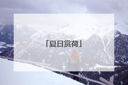 夏日赏荷
