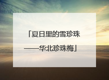 夏日里的雪珍珠——华北珍珠梅