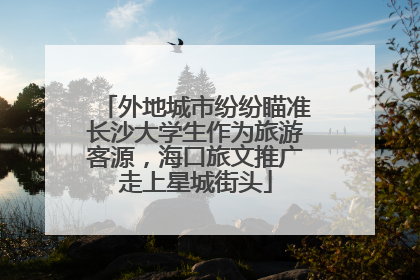 外地城市纷纷瞄准长沙大学生作为旅游客源，海口旅文推广走上星城街头
