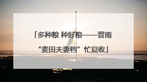 多种粮 种好粮——晋南“麦田夫妻档”忙夏收