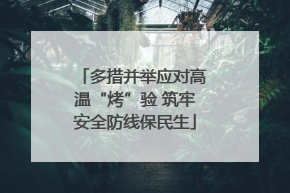 多措并举应对高温“烤”验 筑牢安全防线保民生