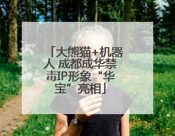 大熊猫+机器人 成都成华禁毒IP形象“华宝”亮相