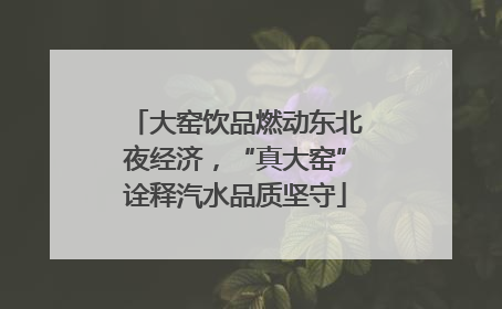 大窑饮品燃动东北夜经济，“真大窑”诠释汽水品质坚守