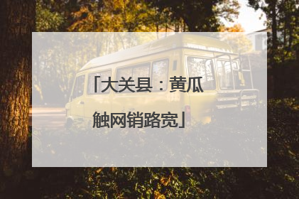 大关县：黄瓜触网销路宽