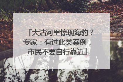 大沽河里惊现海豹？专家：有过此类案例，市民不要自行靠近
