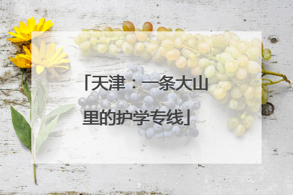天津：一条大山里的护学专线
