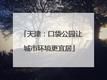 天津：口袋公园让城市环境更宜居