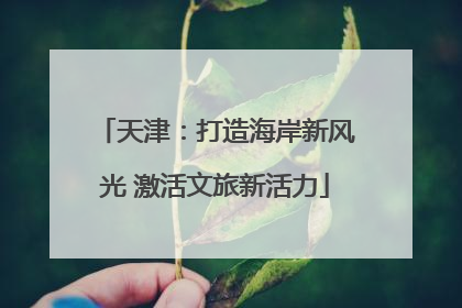 天津：打造海岸新风光 激活文旅新活力