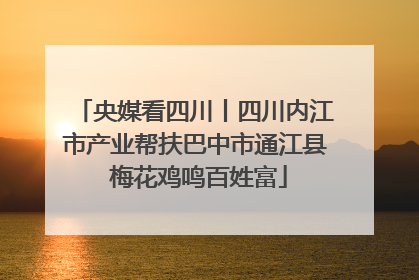 央媒看四川丨四川内江市产业帮扶巴中市通江县 梅花鸡鸣百姓富