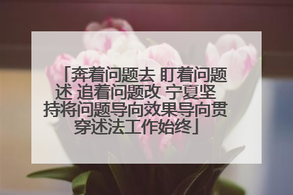 奔着问题去 盯着问题述 追着问题改 宁夏坚持将问题导向效果导向贯穿述法工作始终