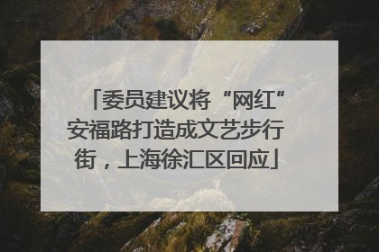 委员建议将“网红”安福路打造成文艺步行街，上海徐汇区回应