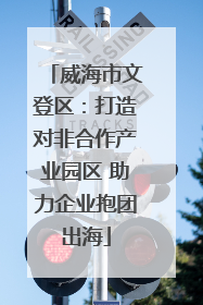 威海市文登区：打造对非合作产业园区 助力企业抱团出海