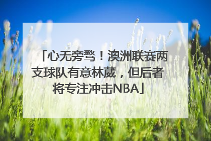 心无旁骛！澳洲联赛两支球队有意林葳，但后者将专注冲击NBA
