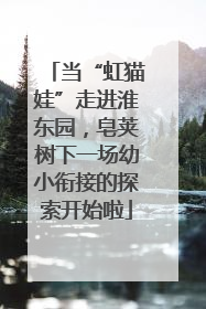 当“虹猫娃”走进淮东园，皂荚树下一场幼小衔接的探索开始啦