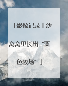 影像记录丨沙窝窝里长出“蓝色牧场”