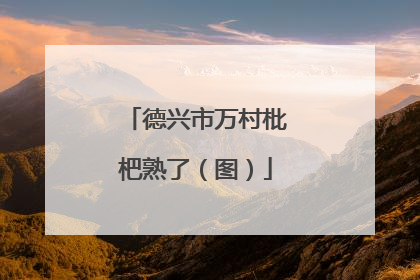 德兴市万村枇杷熟了（图）