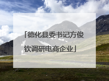 德化县委书记方俊钦调研电商企业