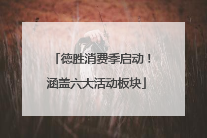 德胜消费季启动！涵盖六大活动板块