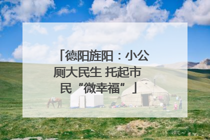德阳旌阳：小公厕大民生 托起市民“微幸福”