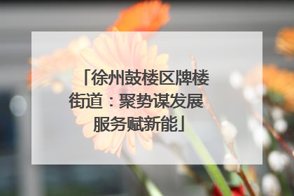 徐州鼓楼区牌楼街道：聚势谋发展 服务赋新能