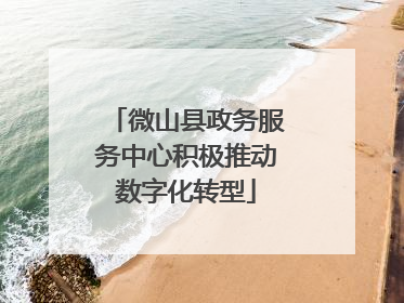 微山县政务服务中心积极推动数字化转型