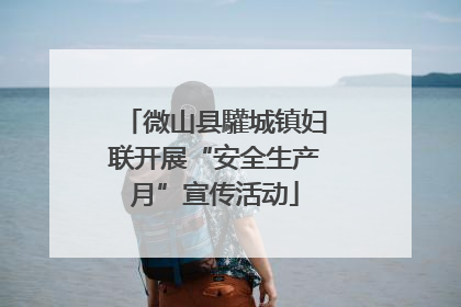微山县驩城镇妇联开展“安全生产月”宣传活动