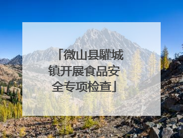 微山县驩城镇开展食品安全专项检查