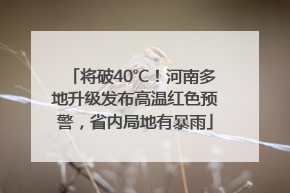 将破40℃！河南多地升级发布高温红色预警，省内局地有暴雨