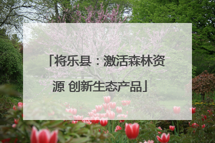 将乐县：激活森林资源 创新生态产品