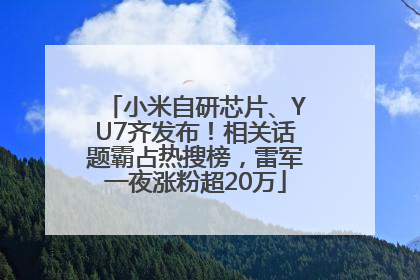 小米自研芯片、YU7齐发布！相关话题霸占热搜榜，雷军一夜涨粉超20万