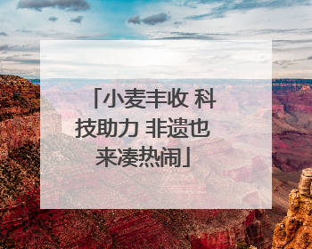 小麦丰收 科技助力 非遗也来凑热闹