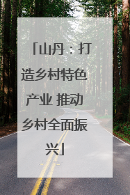 山丹：打造乡村特色产业 推动乡村全面振兴