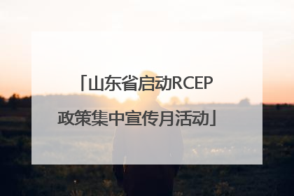 山东省启动RCEP政策集中宣传月活动