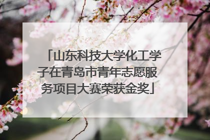 山东科技大学化工学子在青岛市青年志愿服务项目大赛荣获金奖