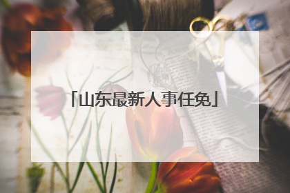 山东最新人事任免