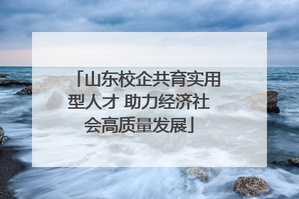 山东校企共育实用型人才 助力经济社会高质量发展