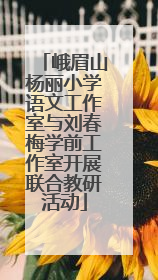 峨眉山杨丽小学语文工作室与刘春梅学前工作室开展联合教研活动